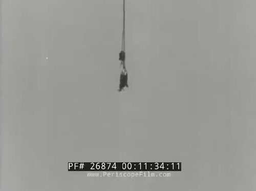 Vlcsnap-2024-10-12-10h48m36s276
