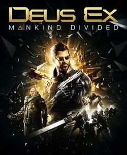 DXMD