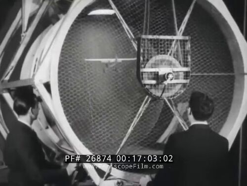 Vlcsnap-2024-10-12-10h54m05s244