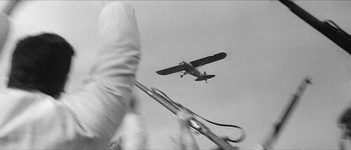 ParisBTI L-21 d