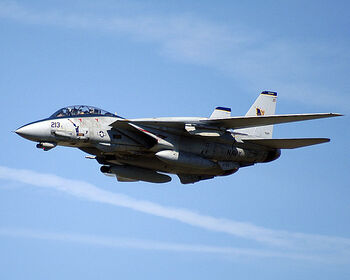 F-14 Tomcat Category
