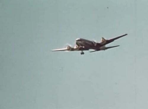 FlyingBusinessman Douglas