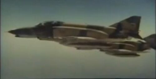 H3 F-4 fly