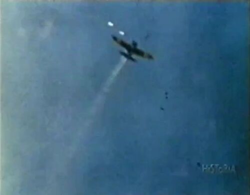 Wings-Eagle 00026