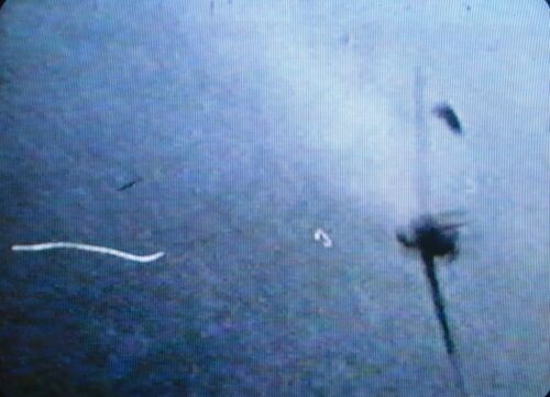 FL Jap3 CIMG5203