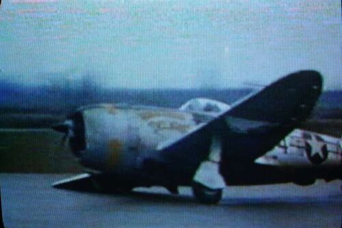 FS P-47 DSCF0223