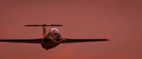 RedSky L-29
