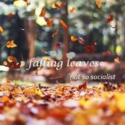 Falling leaves cover