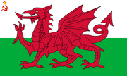 Flag of Welsh SSR (worcester- UDI 1996)