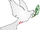 Peacedove.svg.png