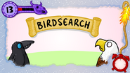 Bird-searching!