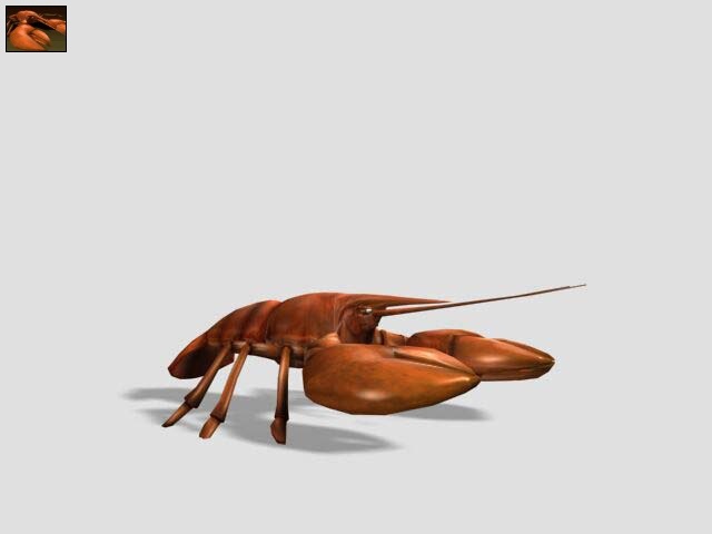 Lobster, Impossible Creatures Wiki