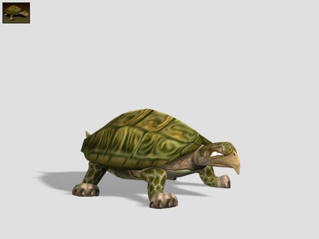 Snapping Turtle | Impossible Creatures Wiki | Fandom