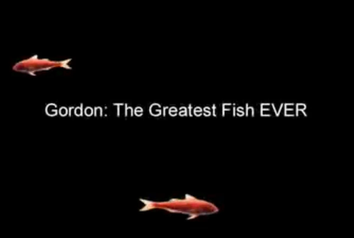 Gordon: The Greatest Fish EVER | Impractical Jokers Wiki | Fandom