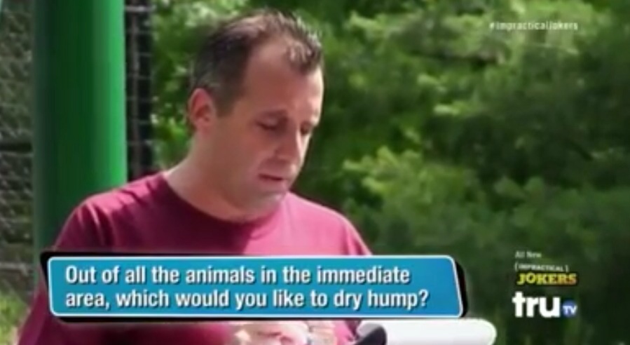 Animal Antics Impractical Jokers Wiki Fandom