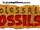 Stories: Colossal Fossils