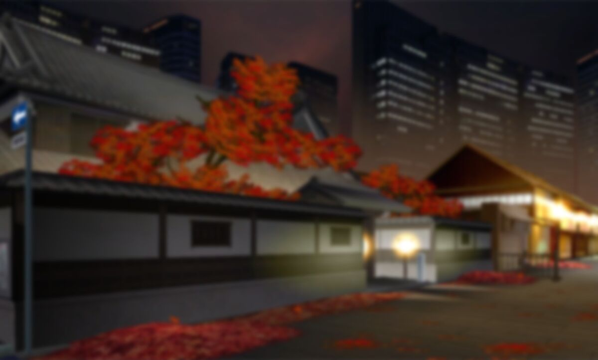 The Street In Front of Momiji Alley | Under Night In-Birth