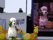 佳佳和在《》舞台上演出