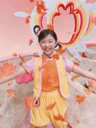 小亦和太阳之国的秋枫