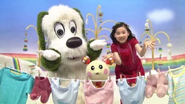 小琴版