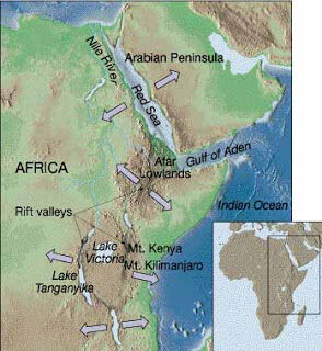 East African Rift In America And Ireland Wiki Fandom