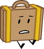Suitcase (1st)