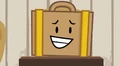 Suitcase smile.jpeg (205 KB)