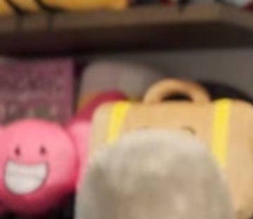 Plushies | Inanimate Insanity Wiki | Fandom