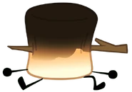 Partially burned Marshmallow impaled by a stick (One-Shot Wonder (Remastered))