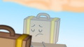 S2e9 suitcase reflection sadly.png (525 KB)