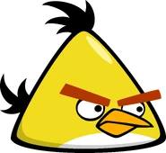 Chuck as seen in "Angry Birds"