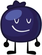 Blueberry