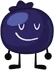 Blueberry