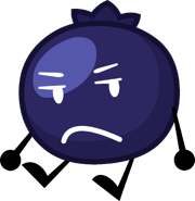 Blueberry