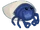 Unnamed Hermit Crab