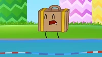Suitcase upset over Box sinking into the pool