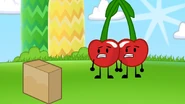 Box/Gallery | Inanimate Insanity Wiki | Fandom
