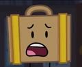 Very sorry Suitcase.jpeg (170 KB)