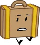 Чемодан (1 место)