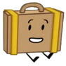 SuitcaseBannerPose.png (88 KB)