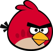 Red as seen in "Angry Birds"
