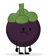 Mangosteen