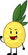 Pineapple’s current design
