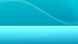 VideoCapture 20241130-043321