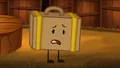 Suitcase tries to be good.jpg (64 KB)