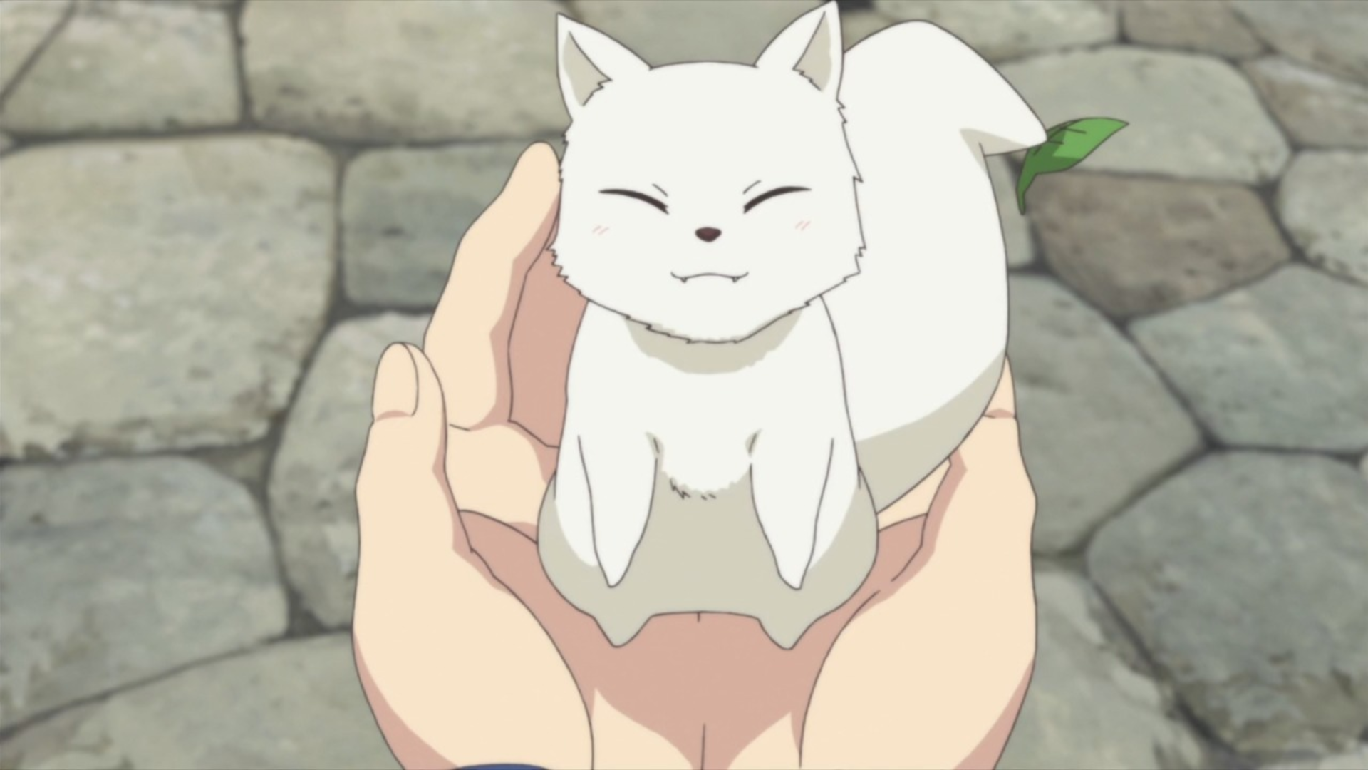 Kon | Inari, Konkon, Koi Iroha Wiki | Fandom Kon | Inari, Konkon, Koi Iroha Wiki | Fandom