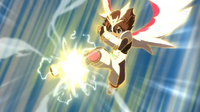 Tenma shot the ball which was used for 3D Reflector