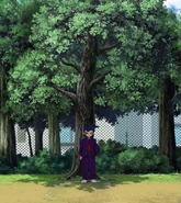 Tsurugi reminiscing.