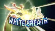 White Breath in Inazuma Eleven GO the Movie: The Ultimate Bonds Gryphon's English localization.