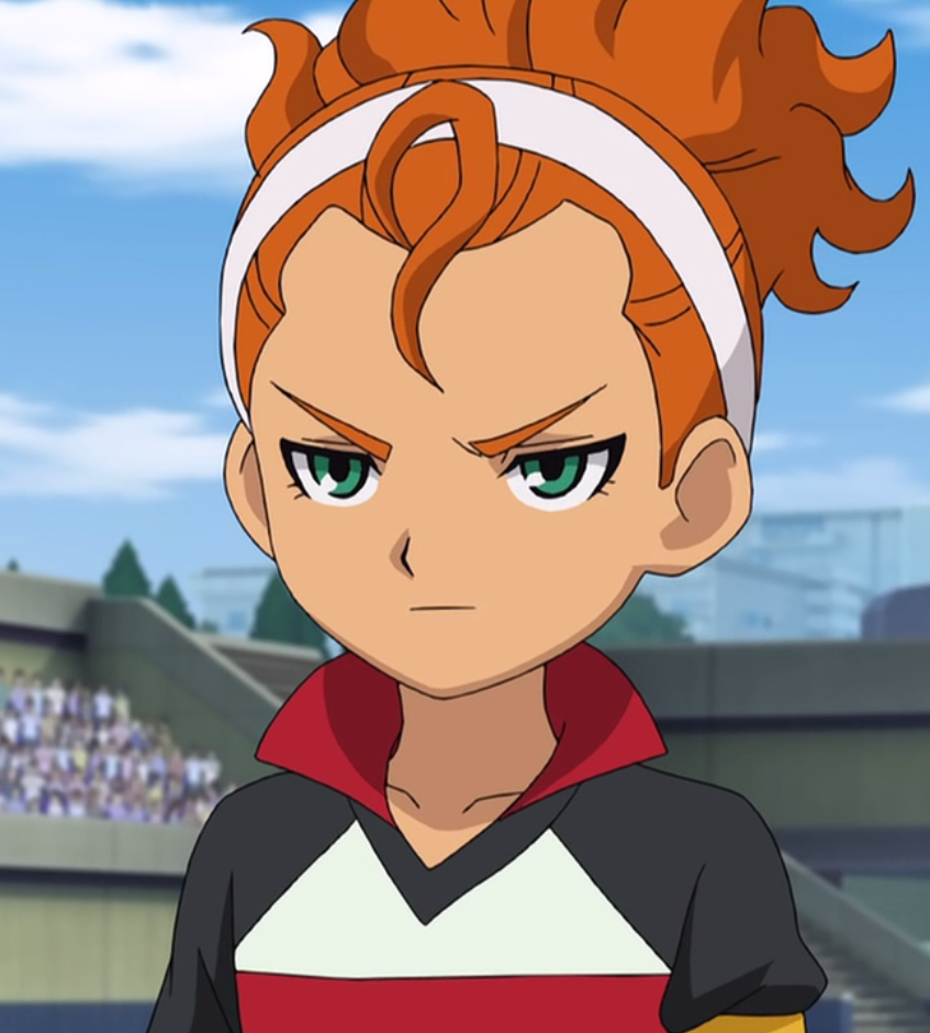 Inazuma Eleven GO Strikers 2013, Inazuma Eleven Wiki